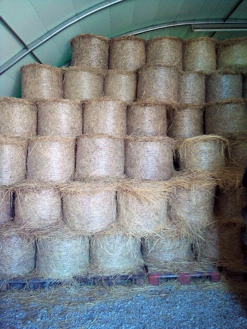 seno v malých balíkoch - 2