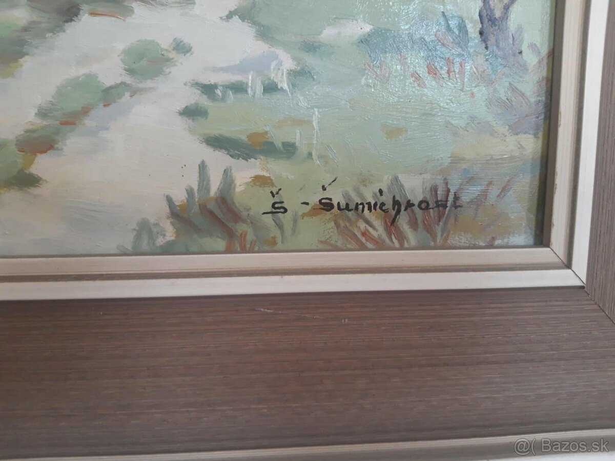 Obraz - Šumichrast - 2