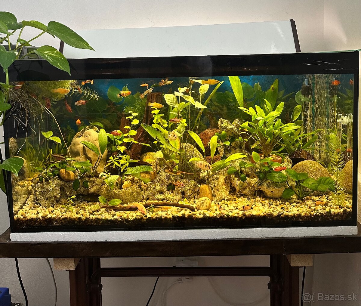 Predám 100L akvárium - 2