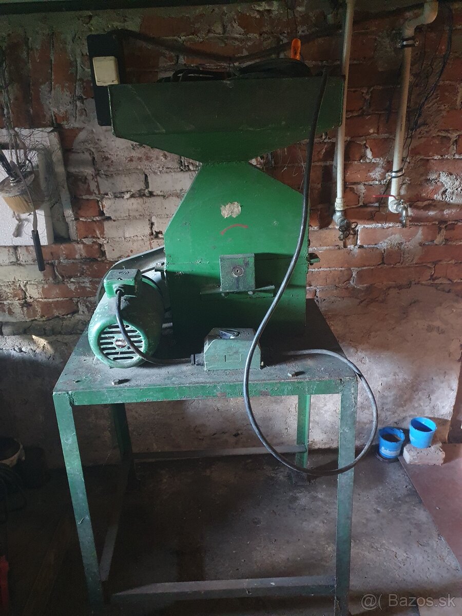 Kladivkovy srotovnik - 2