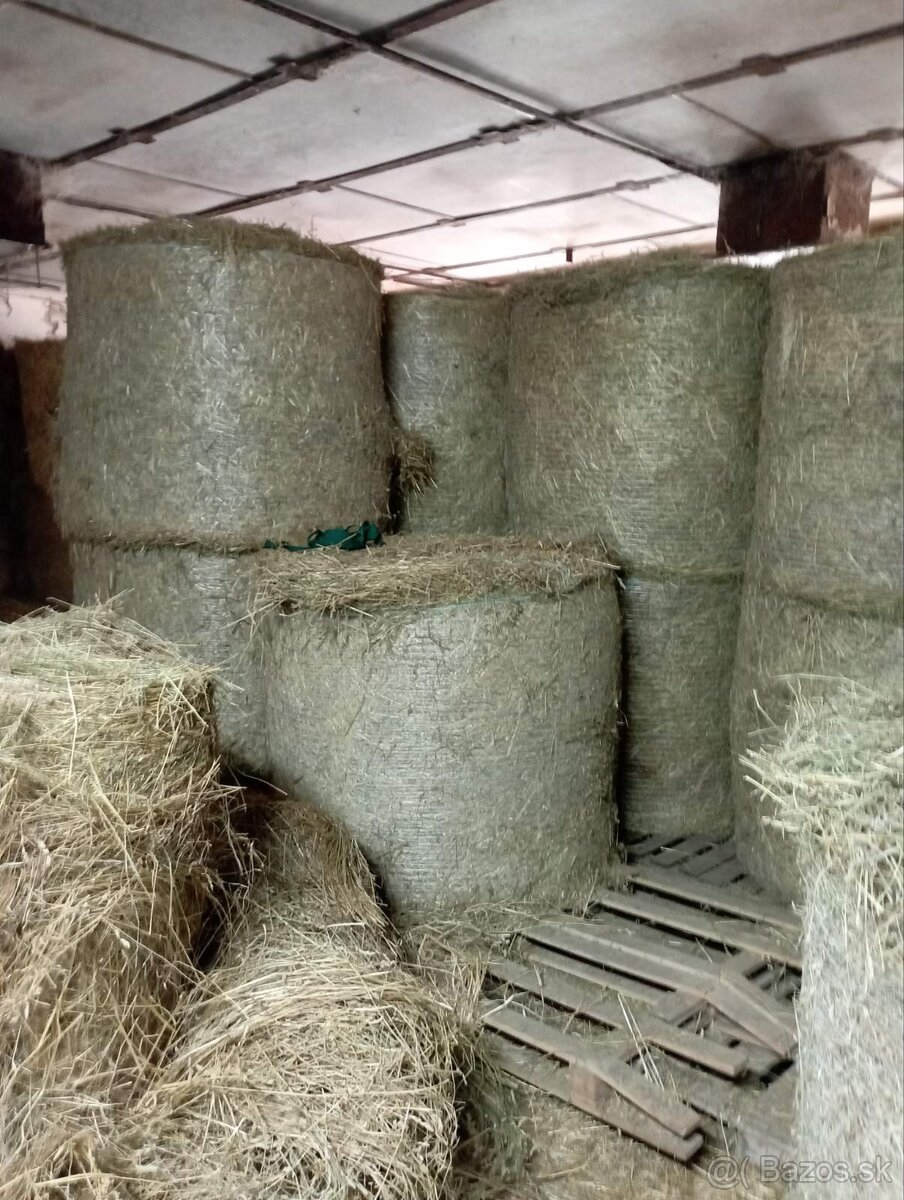 Na predaj balíky sena a slamy - 2