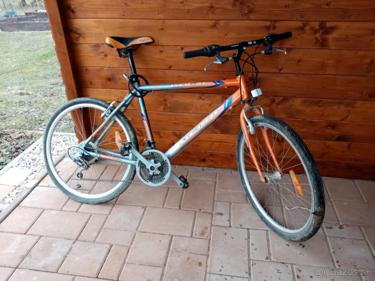 dámsky horský bicykel DEMA - 2