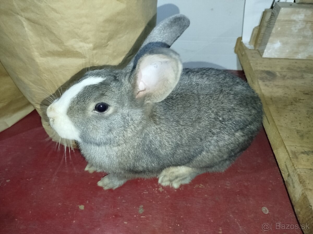 Liptovský Lisko - 2