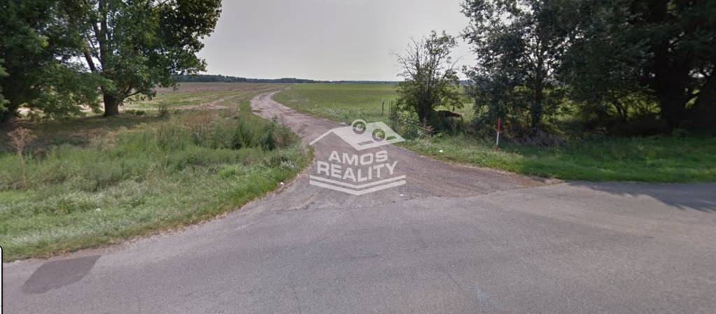 NA PREDAJ lesný pozemok, k.ú. Borský Svätý Jur - 2