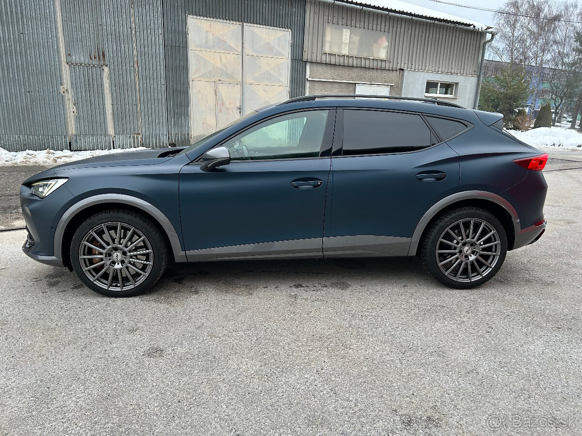 Cupra Formentor 2.0 TSi 228kw DSG 310 - 2