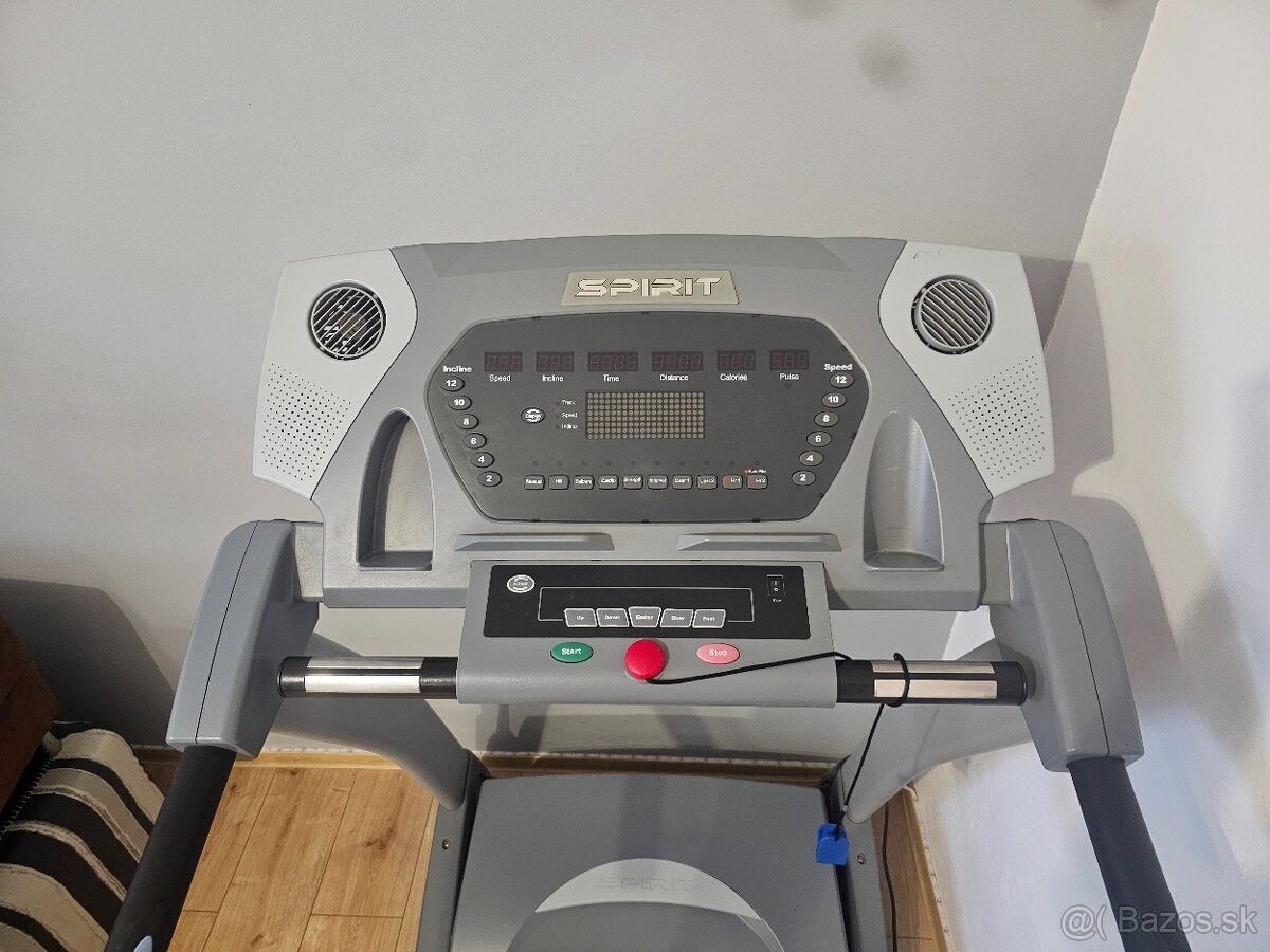 Bežecky pas Spirit - 2