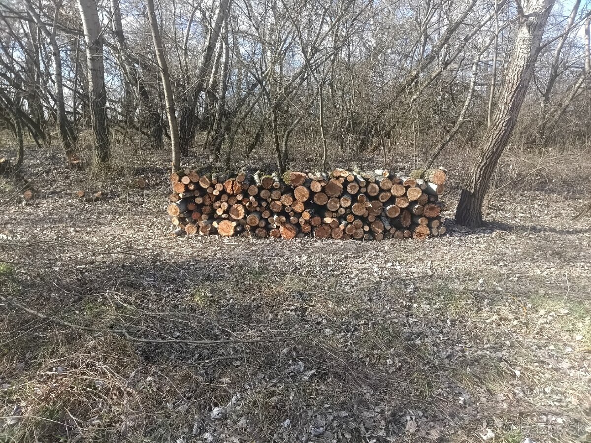 Palivové drevo - 2