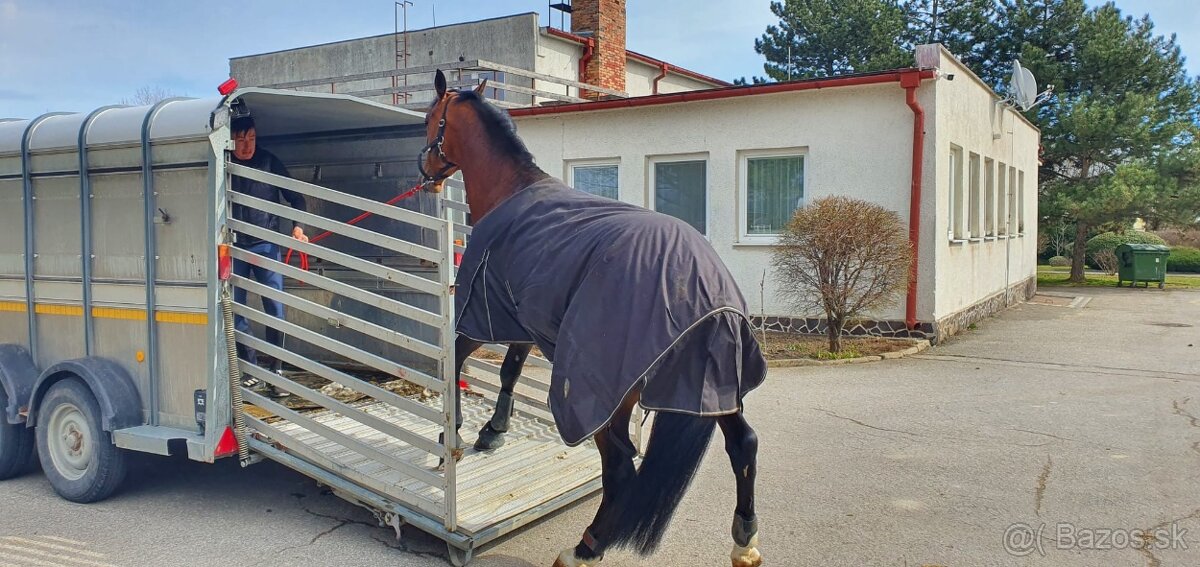 Preprava zvierat - 2