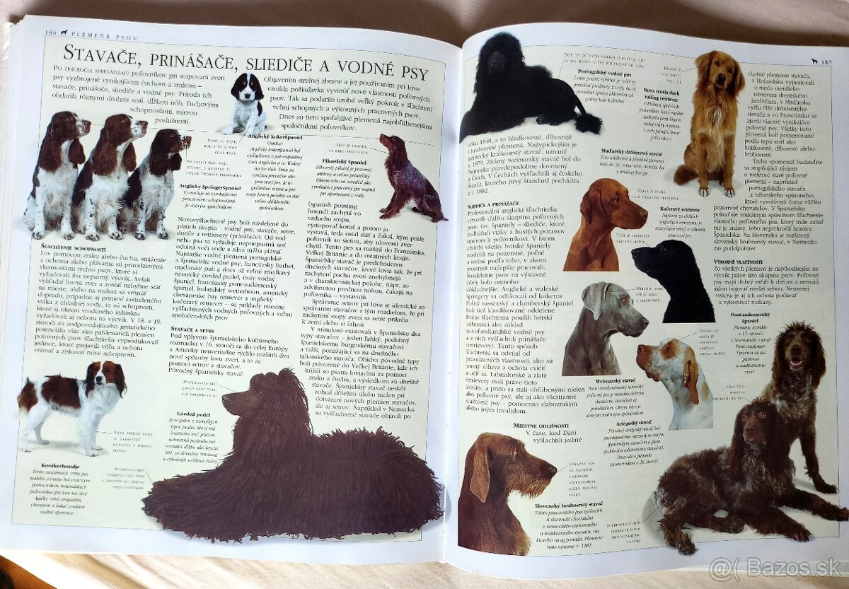 Encyklopédia psov - Bruce Fogle - 2