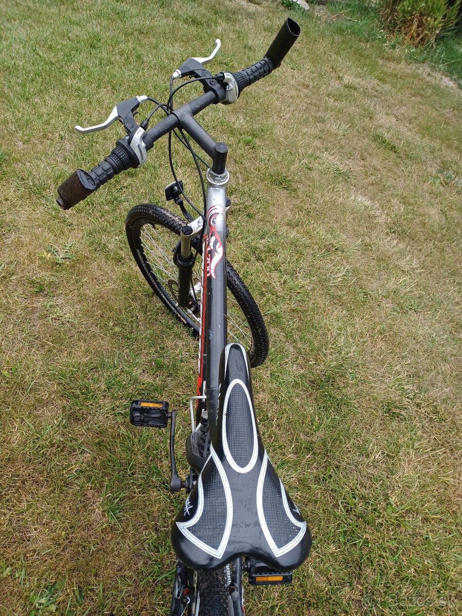 Bicykel McKenzie - 2