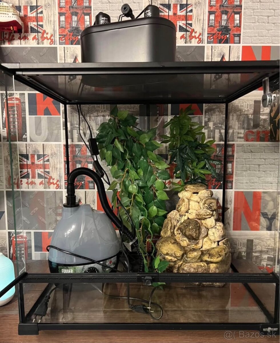 Terarium 60x60x45 - 2