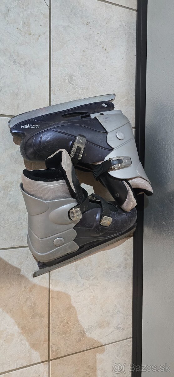 Predám korčule veľkosť 37-40 - 2