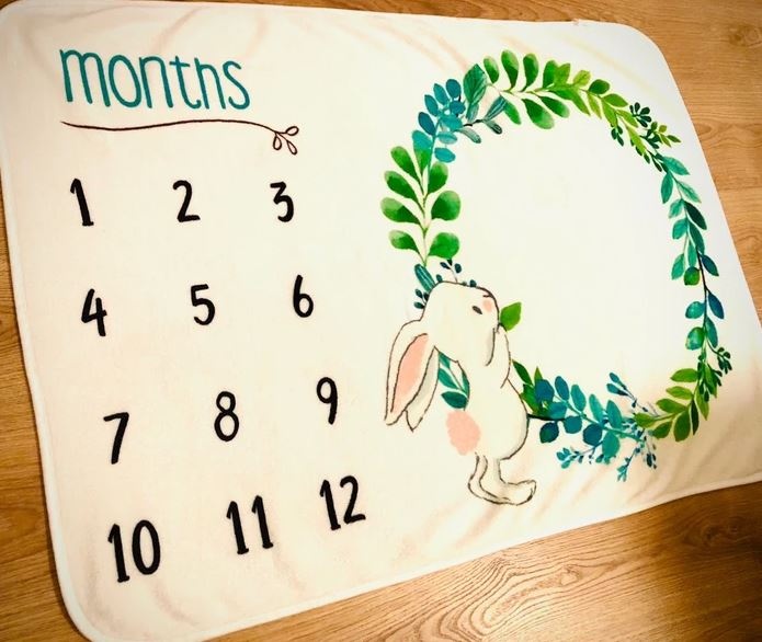 Monthly Bunny Photography Blanket - 2