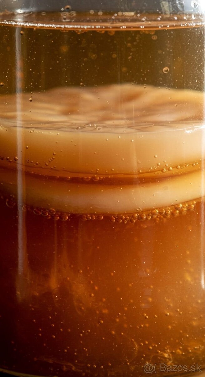 SC(O)BY KOMBUCHA- živá energia bez chémie - 2