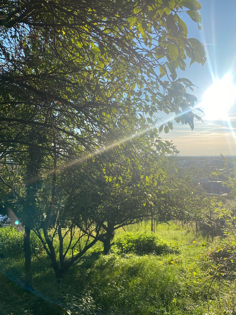 Pozemok Stupava, 2163 m2, VIS - 2