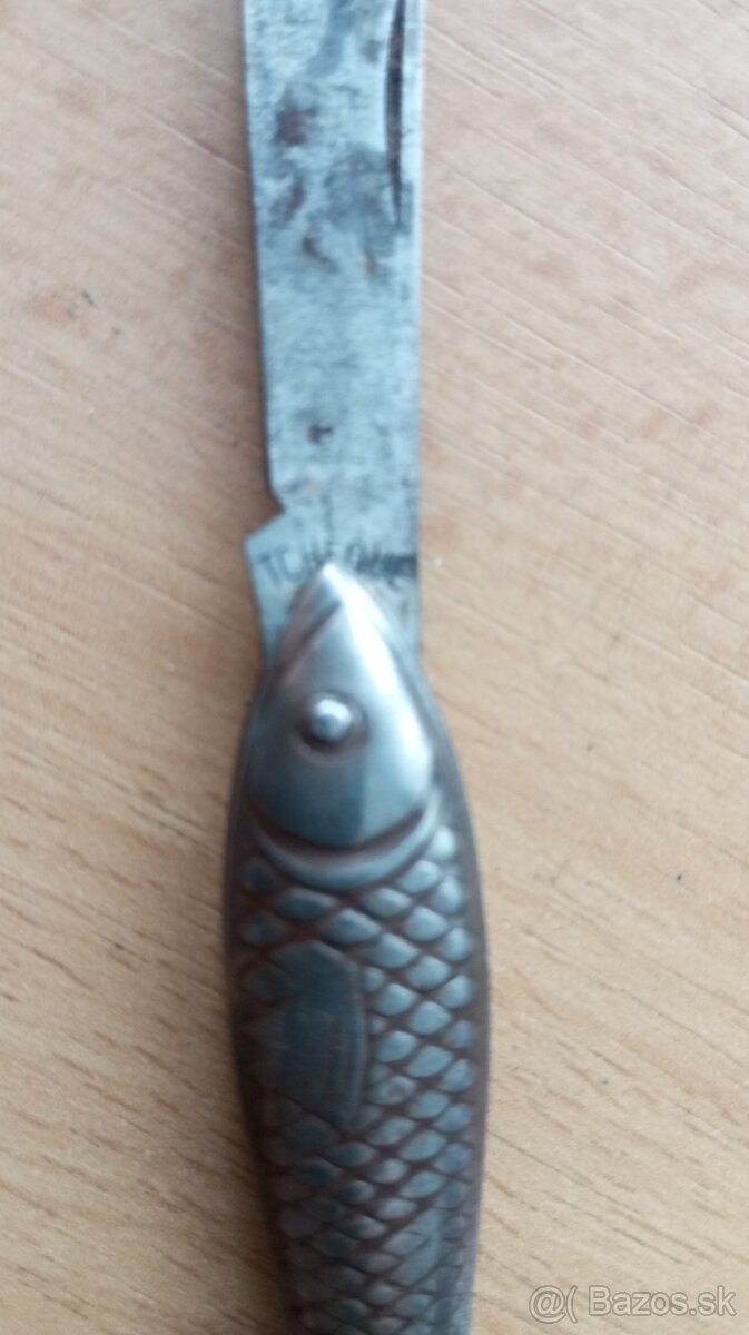 Rybka nožík - 2