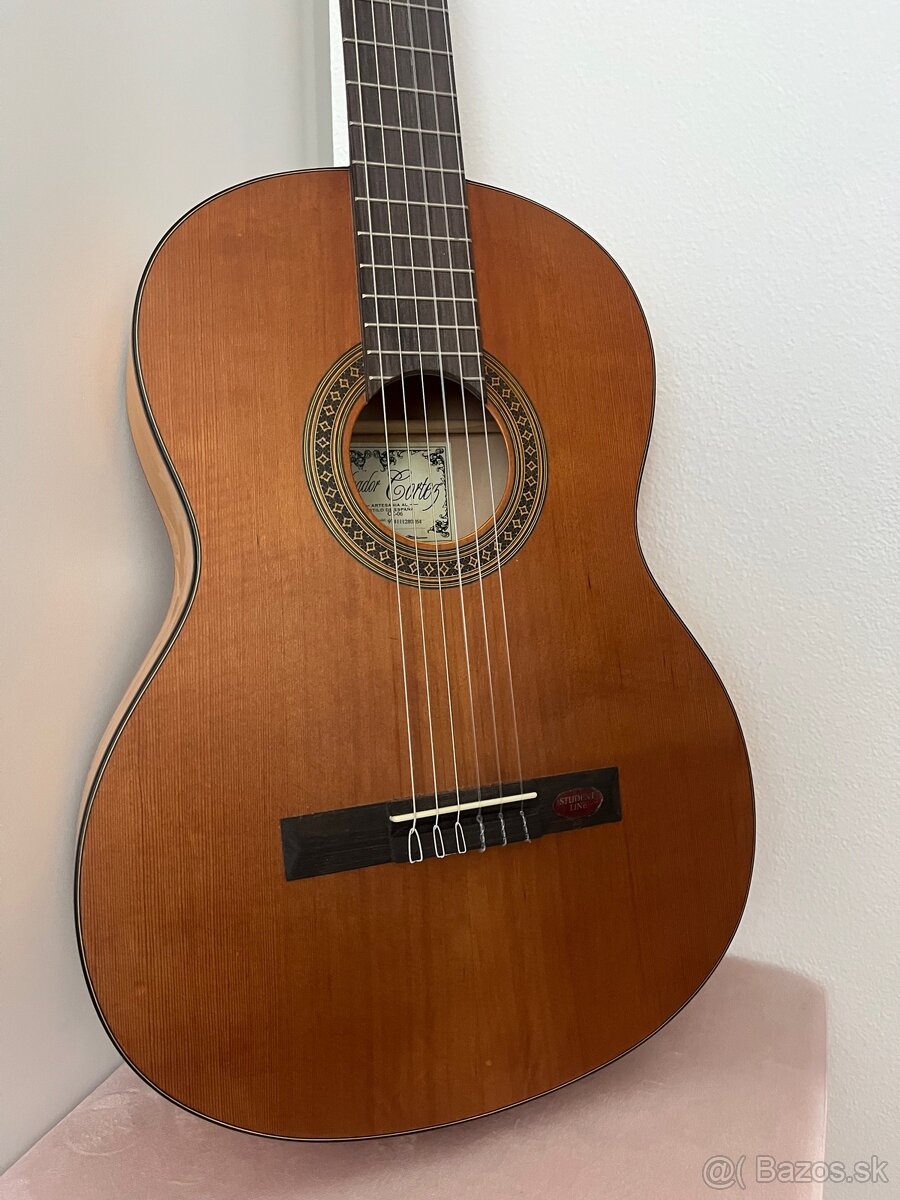 Gitara Salvador Cortez CC-06 - 2