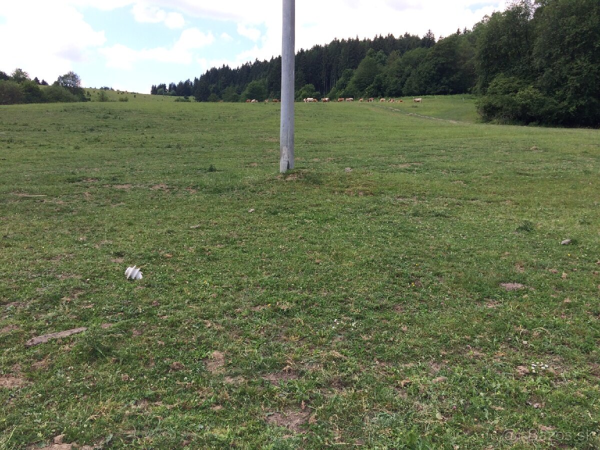 Pozemok 2000 m2 - 2