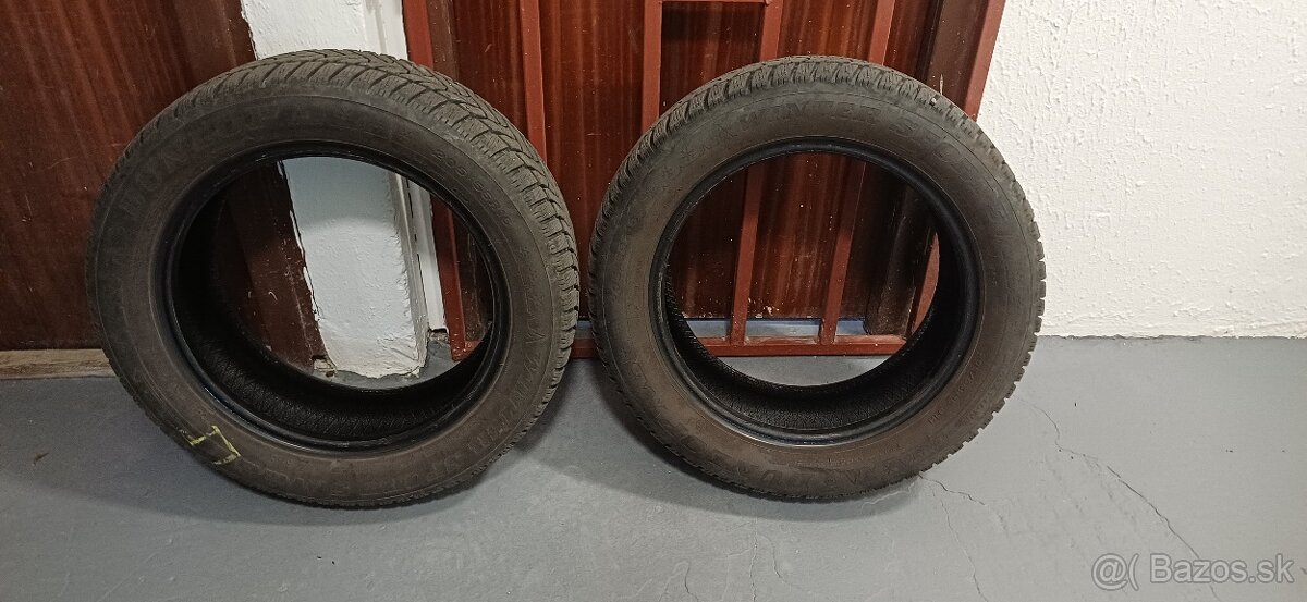 Dunlop Winter Sport 5 205/55R16 - 2