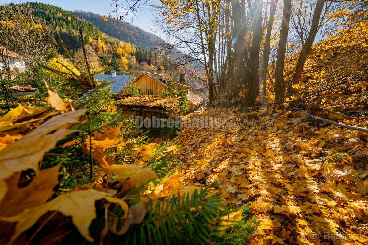 PREDAJ: Tajuplná záhrada s jazierkom a banským potôčikom, 19 - 2