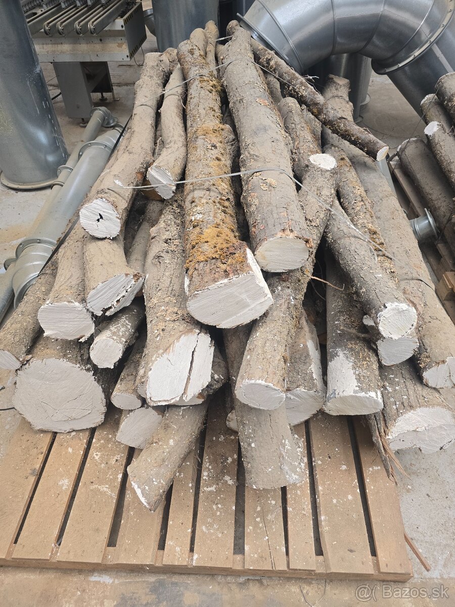 Kmeňe Lipy pre rezbárov a umelcov - 2