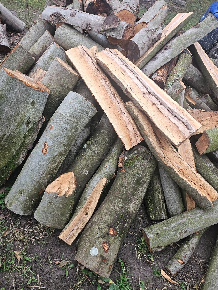 Palivové drevo - 2