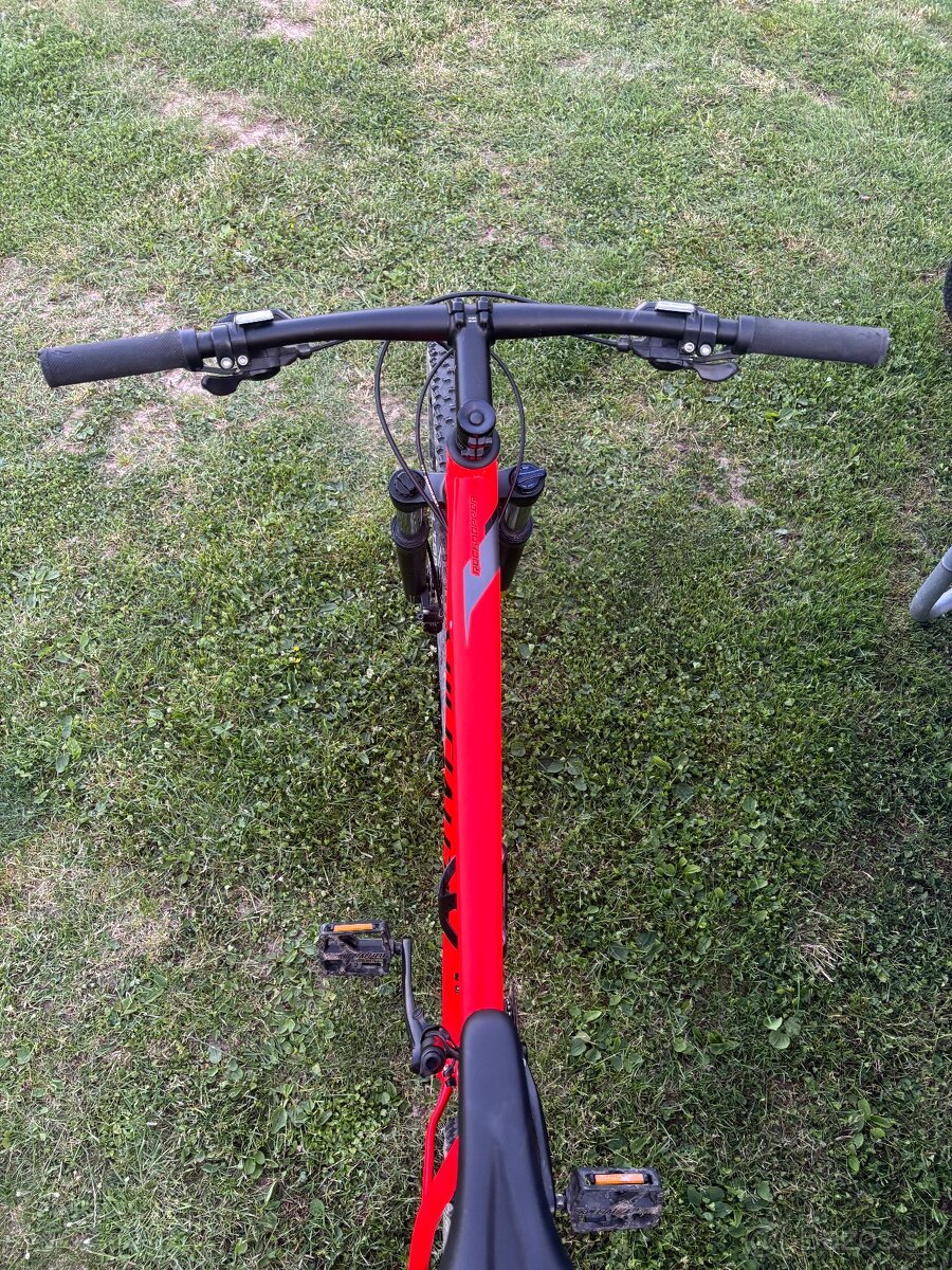 Specialized Rockhopper 29" L - 2