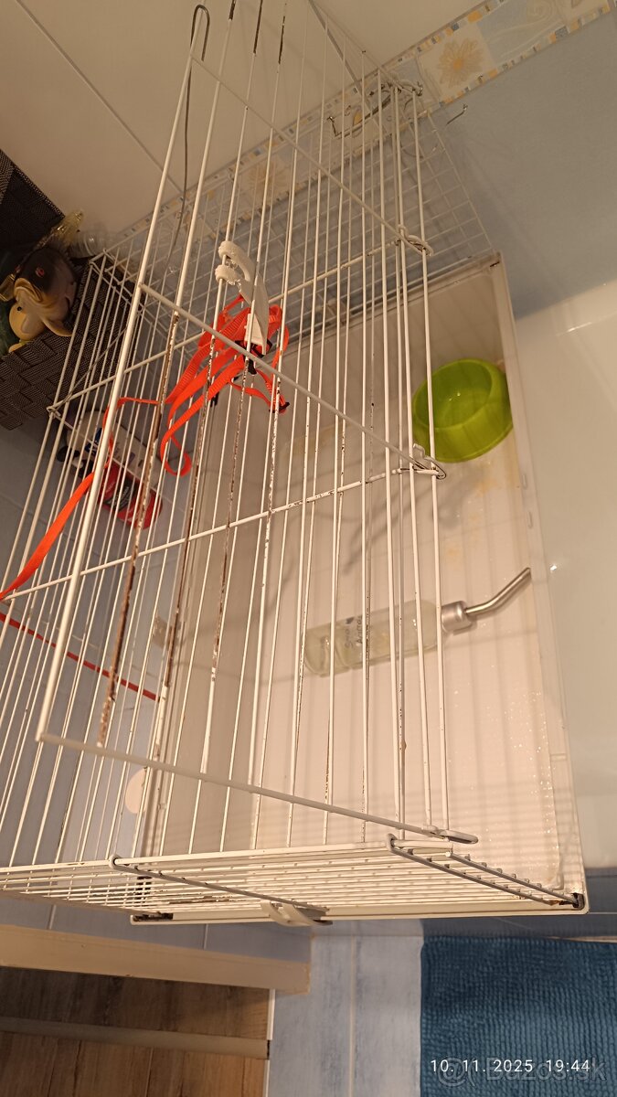 Klientka pre zajaca - 2