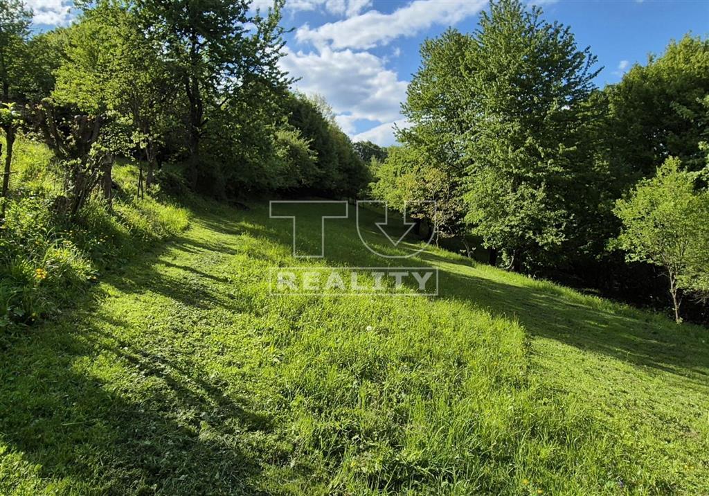 Pozemok s veľkorysou výmerou, určený na výstavbu domu, chaty - 2