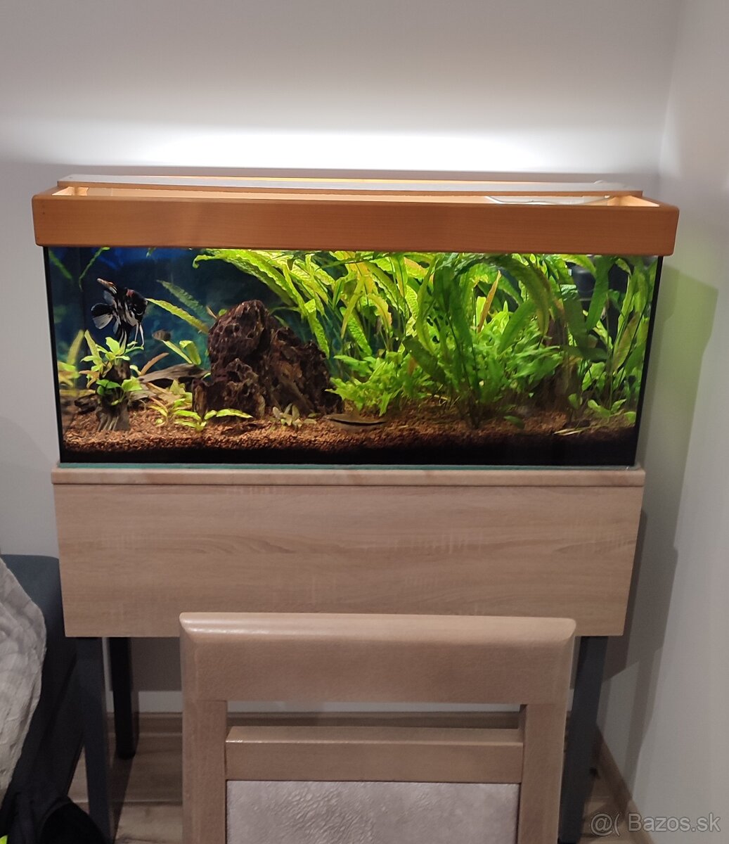 Predám akvárium - 2