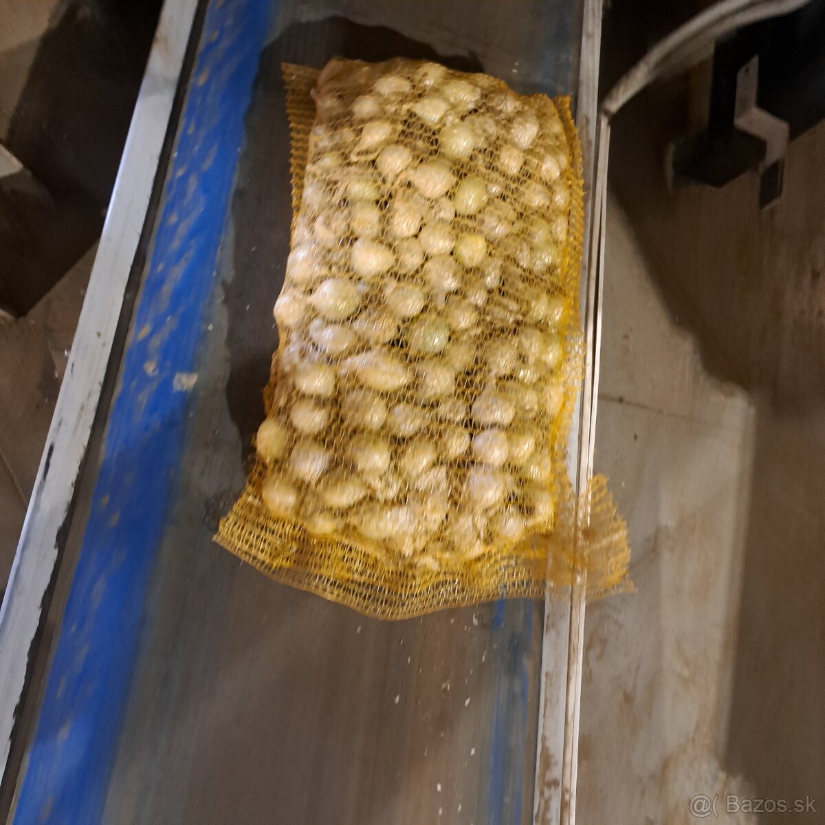 Domáce ZEMIAKY a CIBUĽA aj na zaváranie - 2