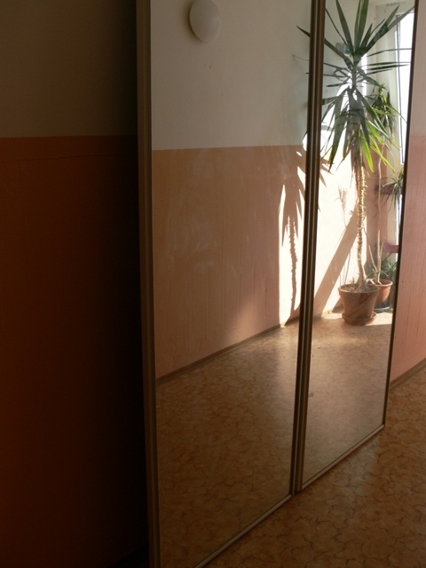 Roldor dvere - so zrkadlom - 2