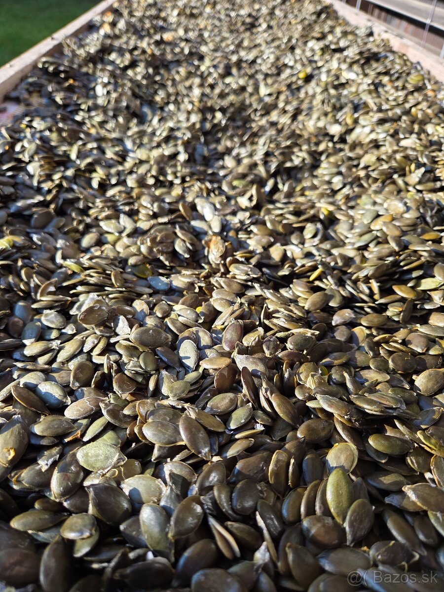 Tekvicové jadierka bezšupkové - 2