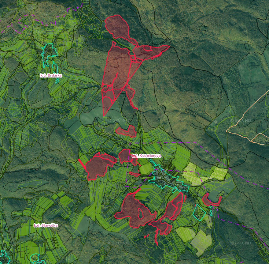 Kobeliarovo – 12.760 m2 LESY a ORNÁ PÔDA - 2