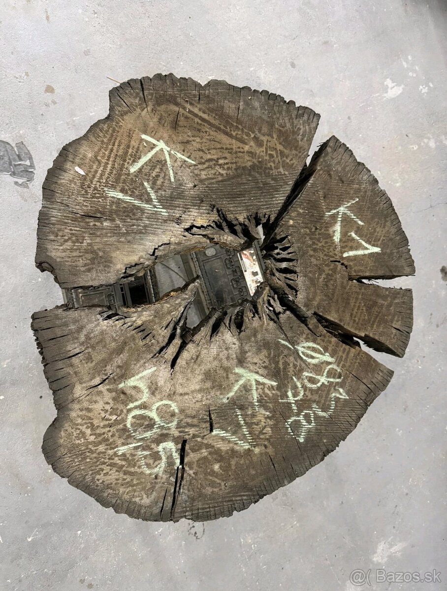 Predám dub bahenny, koláče, priečne rezy - 2