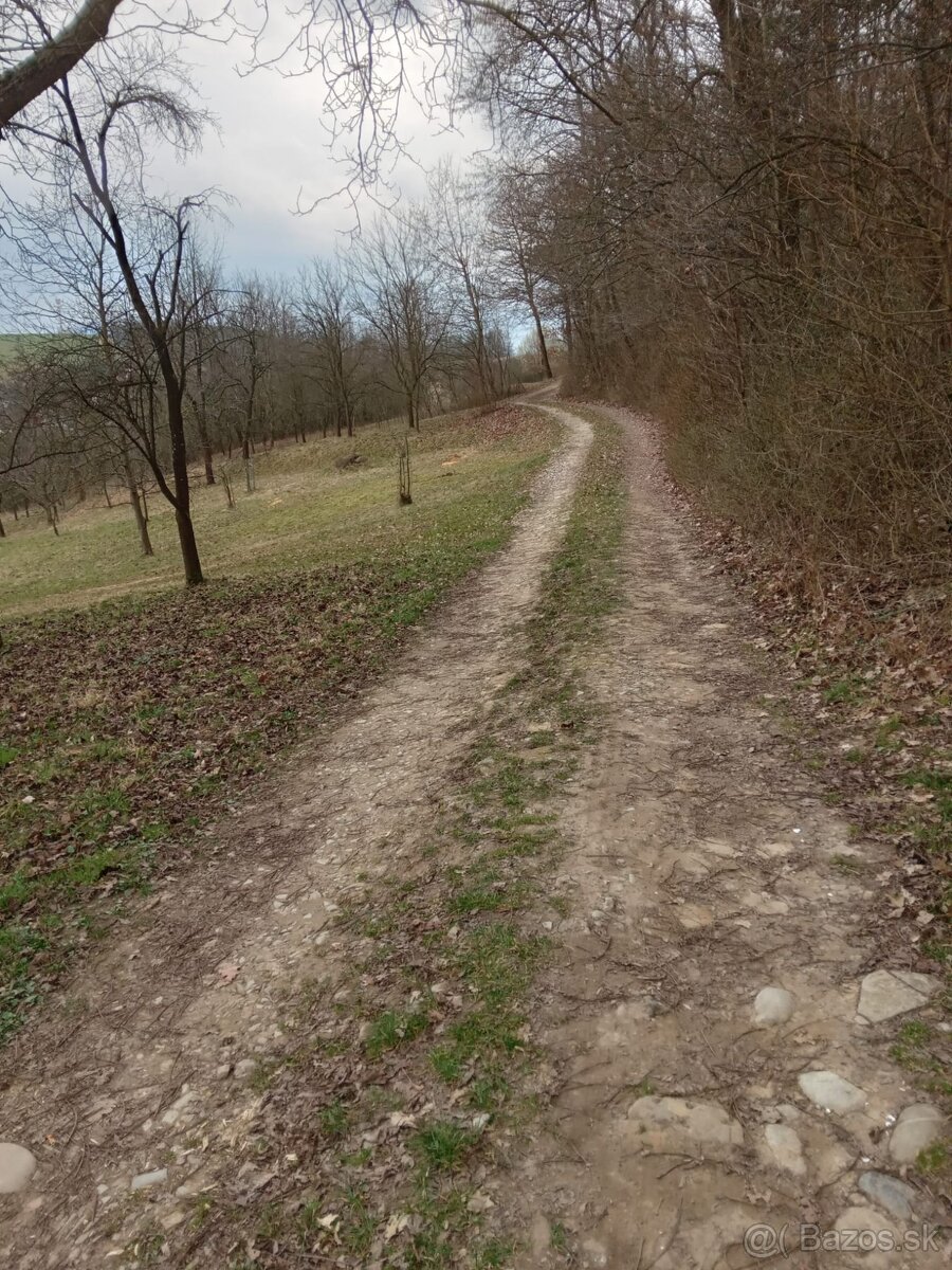 Pozemok Hrabovka - 2
