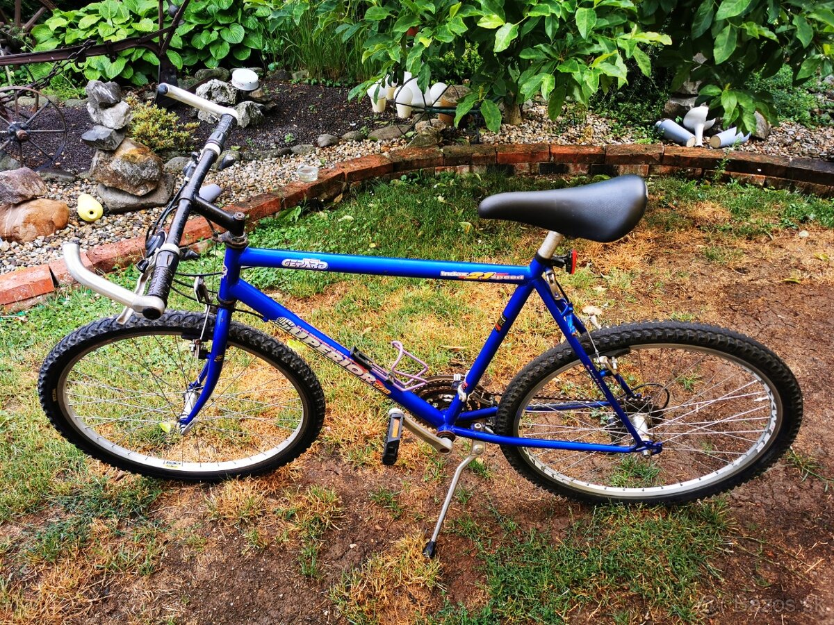 Bicykel Superior - 2