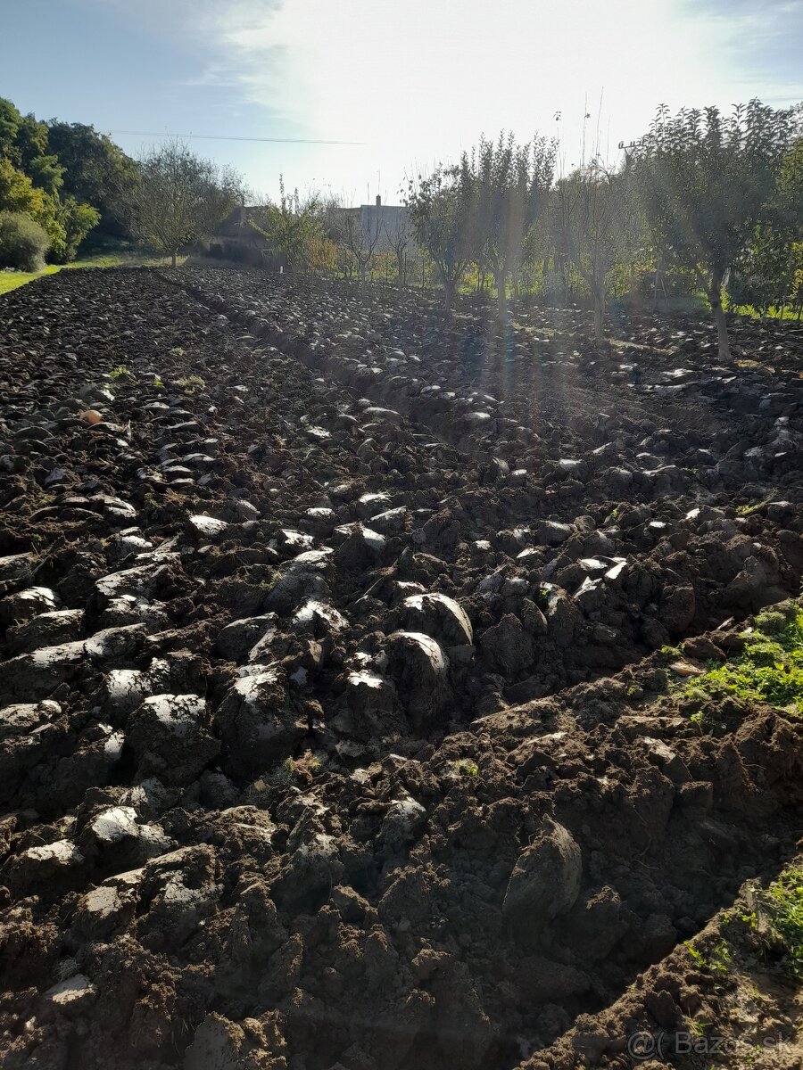 Pluh dvojak vymením za večsi trojak štvorak - 2