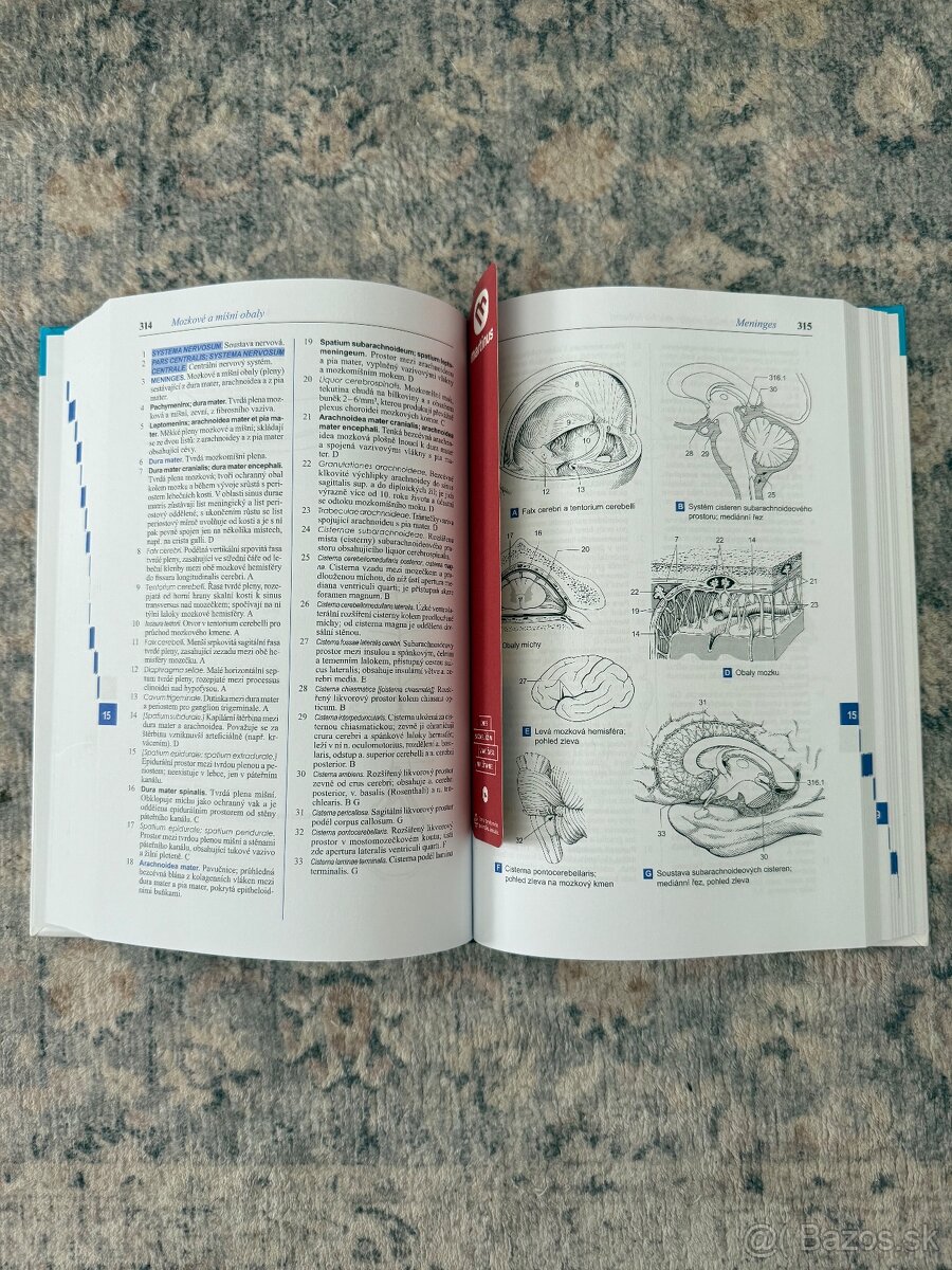 Feneisův obrazový slovník anatomie - 2