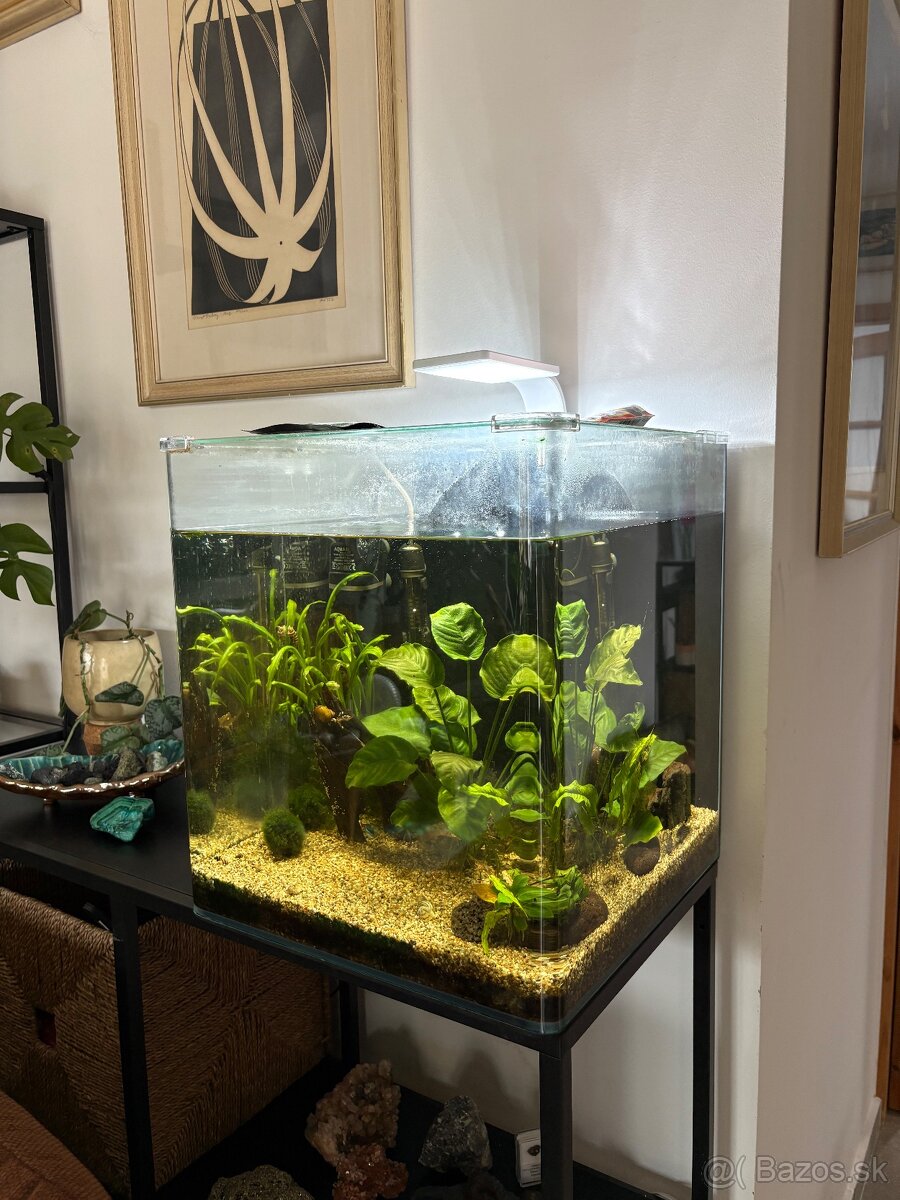 Akvárium Denerle NanoCube Complete 60L - 2
