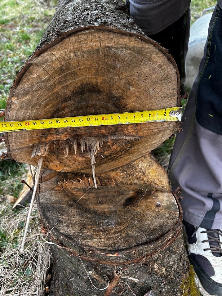 Drevo ceresnovy kmen - 2