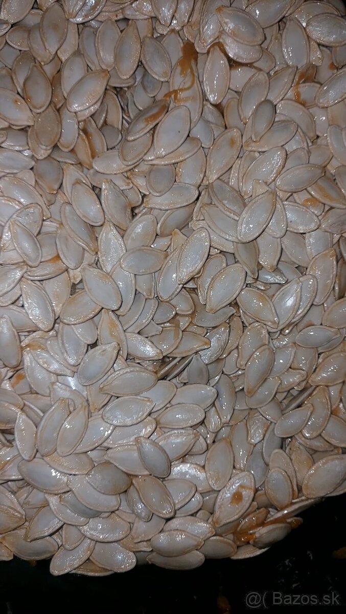 Predám tekvicové jadierka - 2