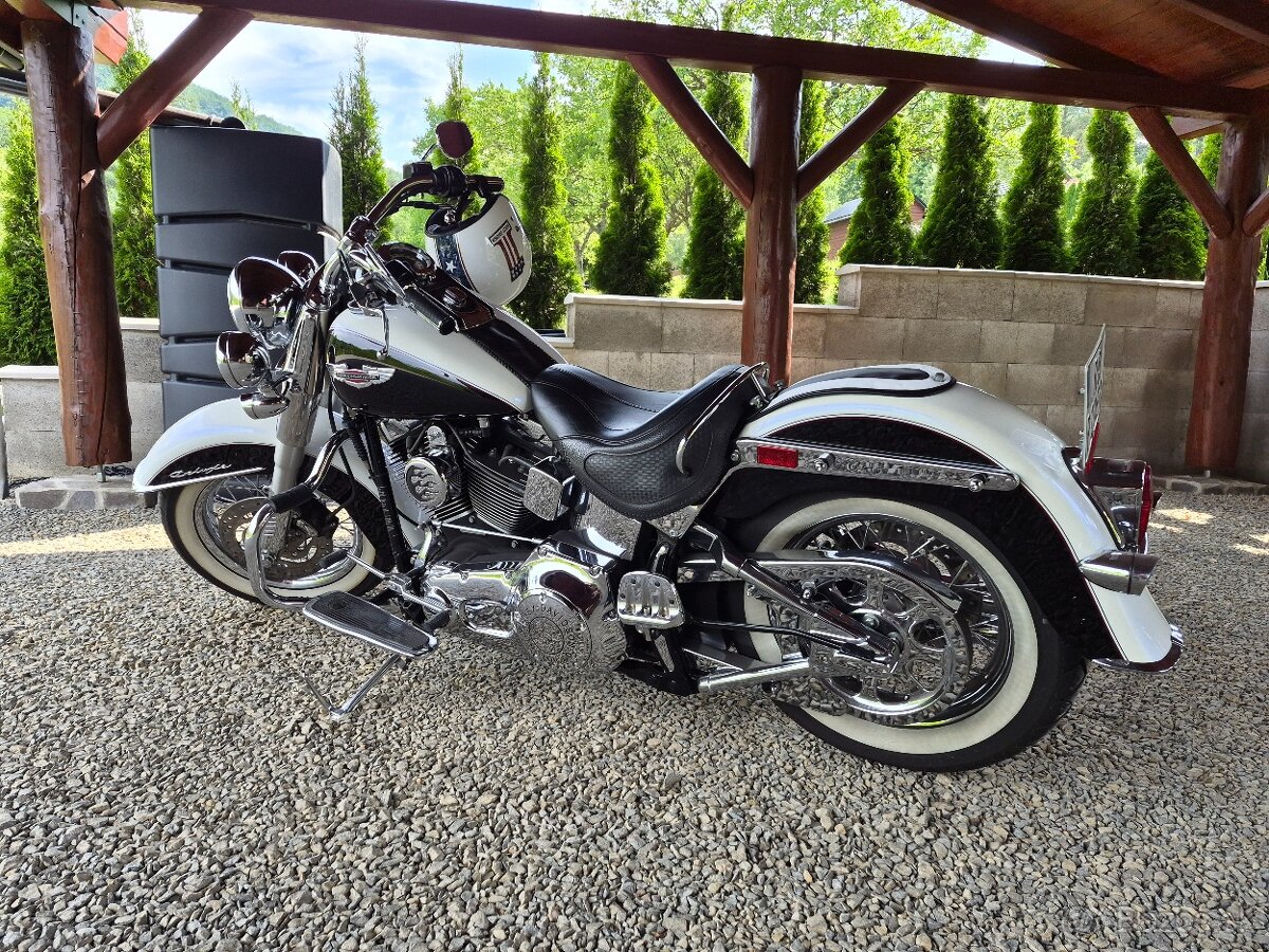 Harley Davidson Softail - 2