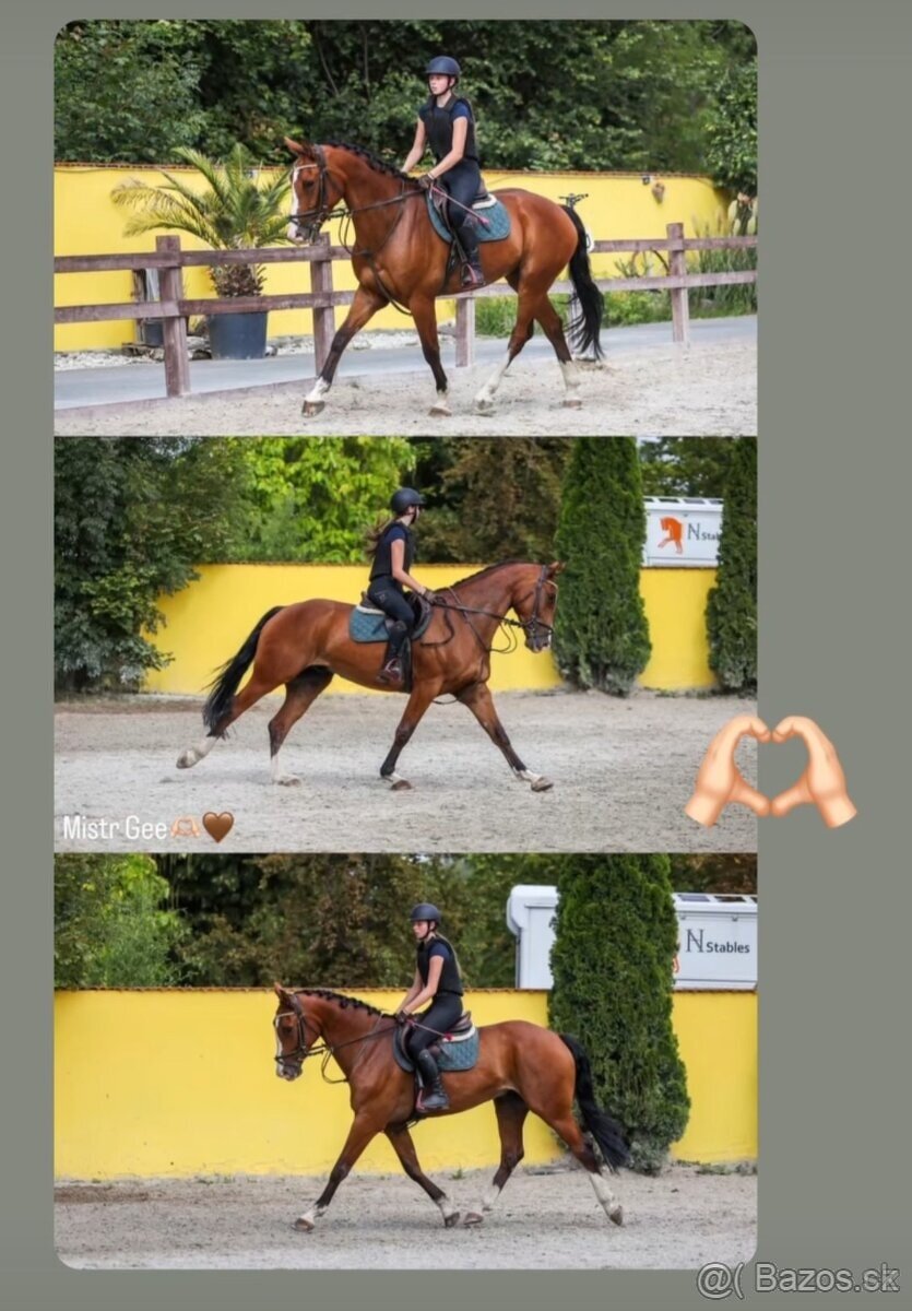 FEŠÁK NA HOBBY I SPORT - 2