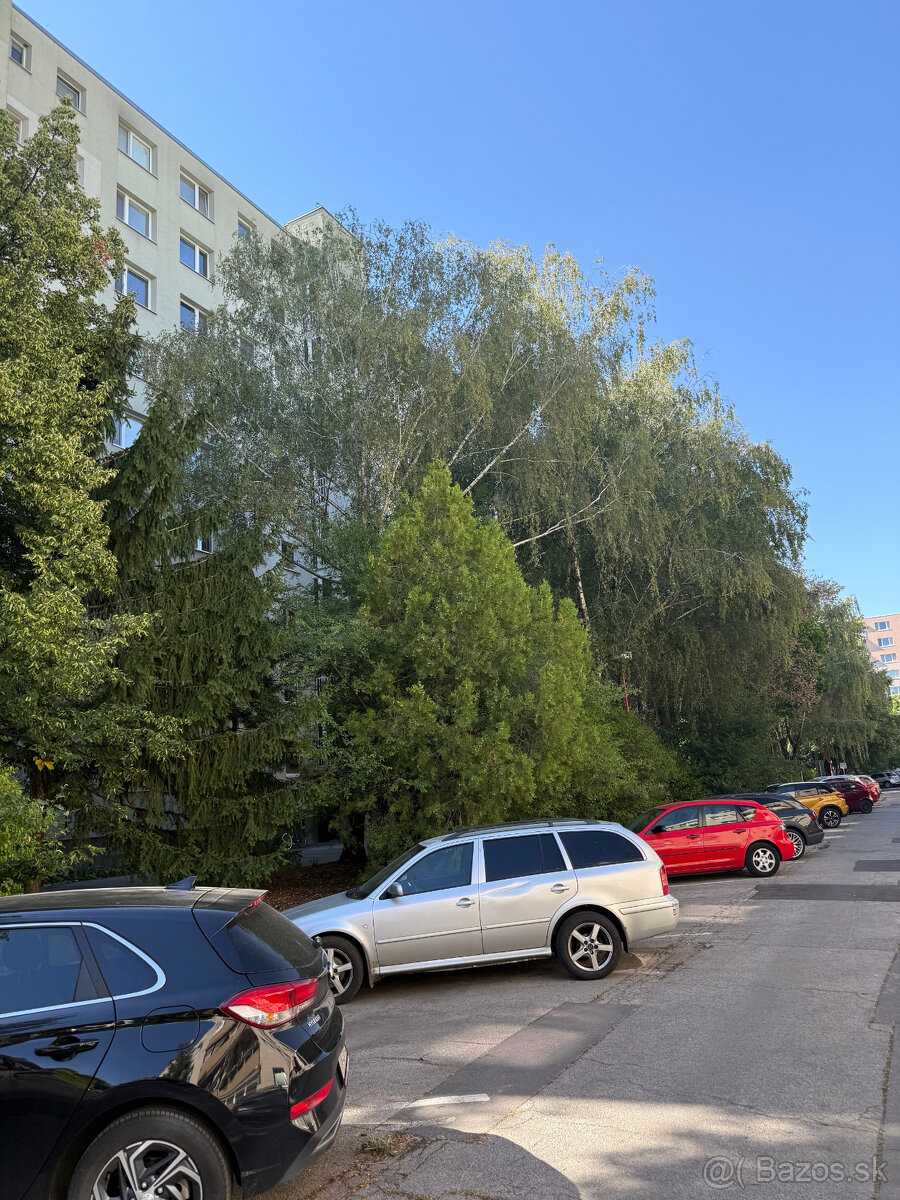 3 izbový byt typu BAURING, Čajkovského - 2