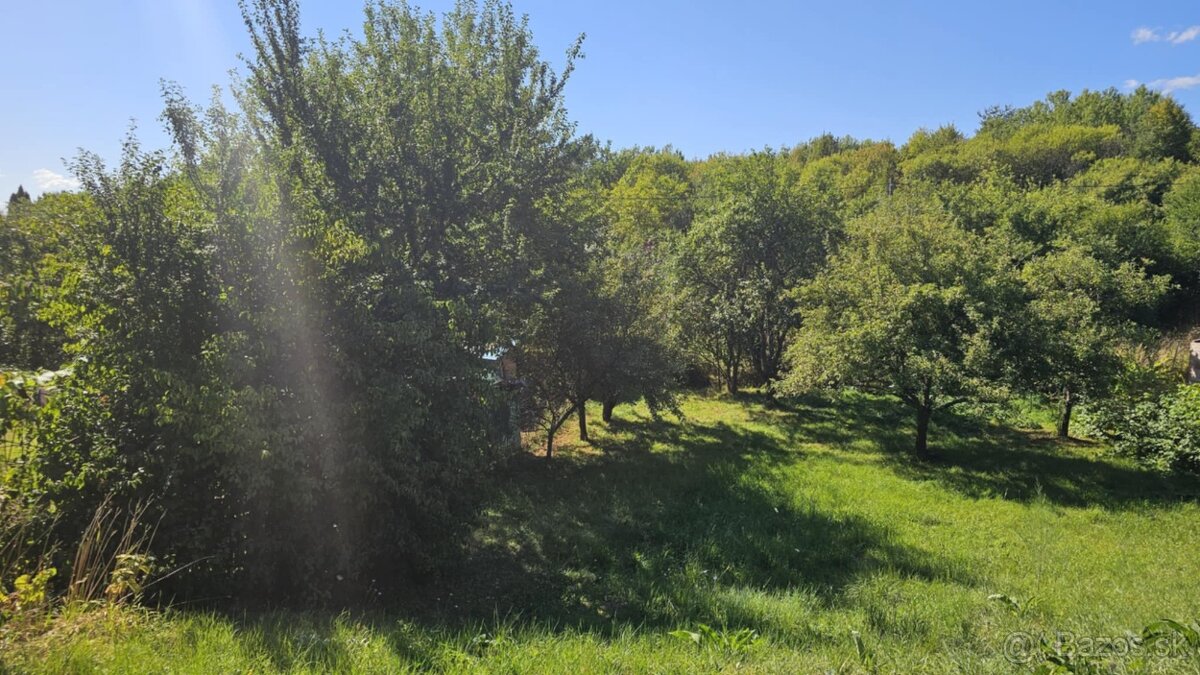 Záhrada v záhradkárskej lokalite Čičky-Majer, Košice - 2