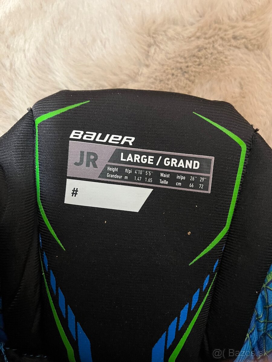 Hokejová výstroj - 2