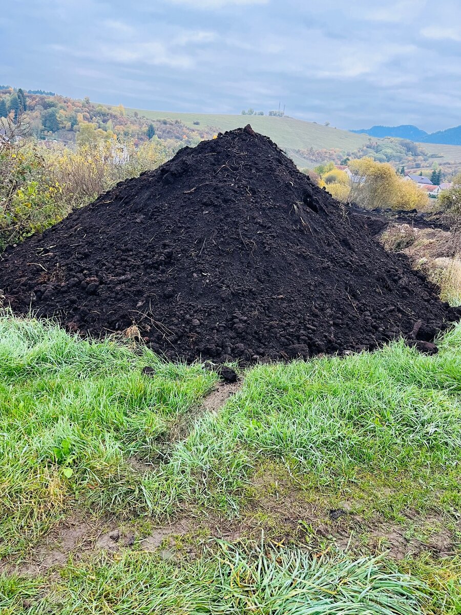 Ornica, Raselina - 2