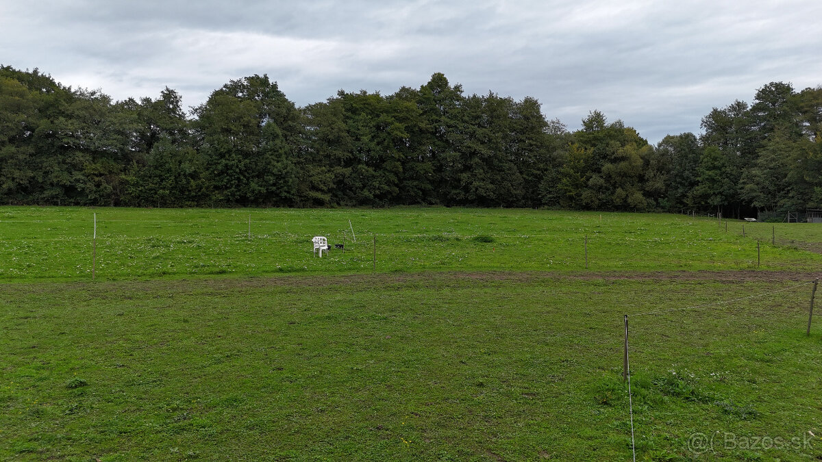 REKREAČNÝ POZEMOK V KATASTRÁLNOM ÚZEMÍ LOVČICA - 2