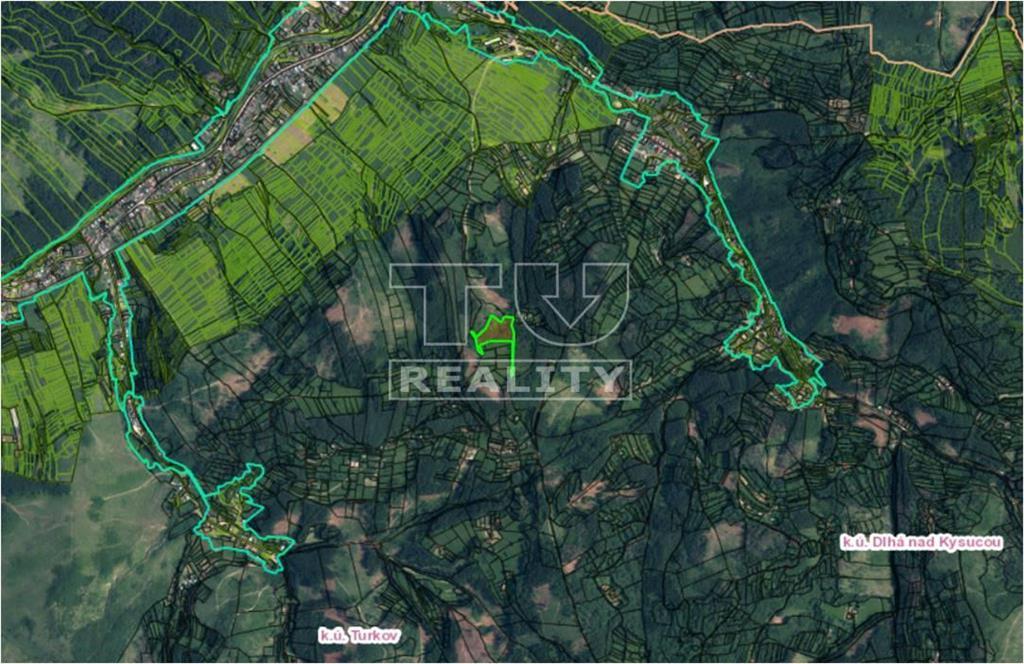 Na predaj les v katastri obce Turzovka (okr Čadca) - 2